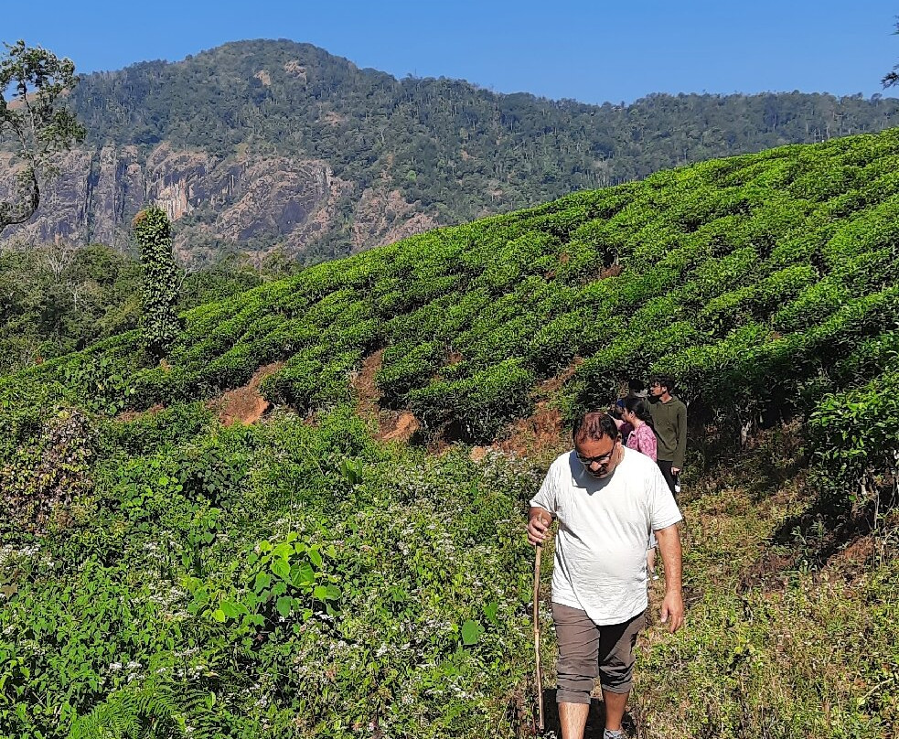 Birdwatching Cherambadi-Cherambadi必去景点