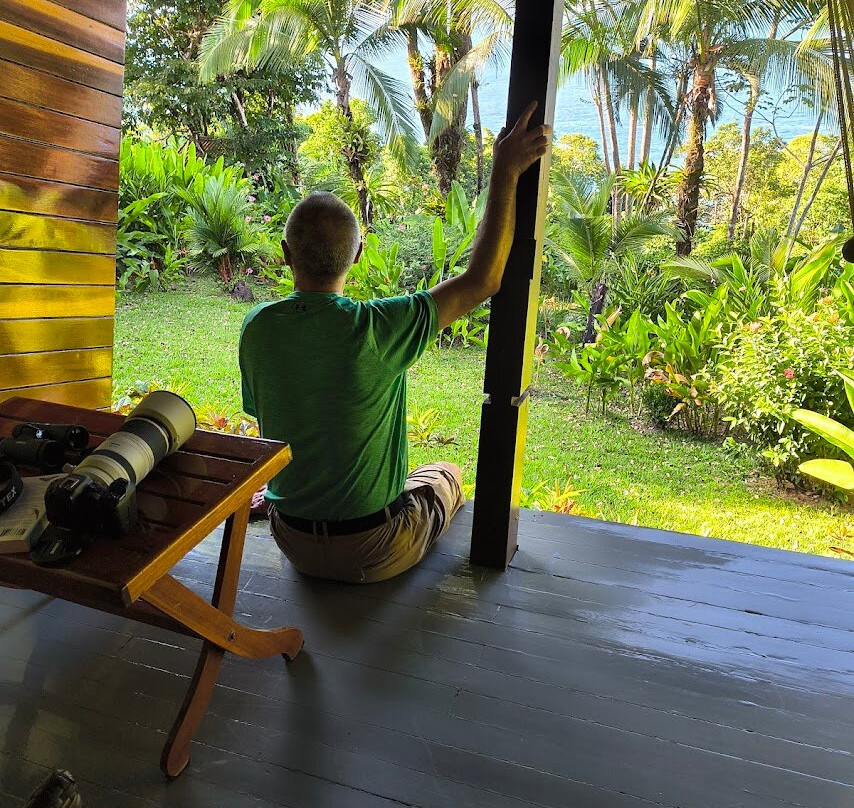 La Paloma Lodge Drake Bay主图