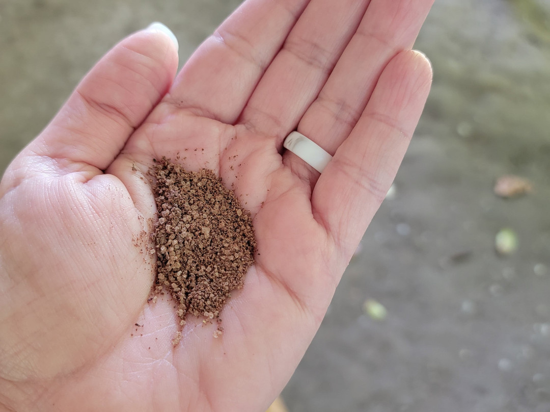 Runners Adventures-Bayahibe必去景点