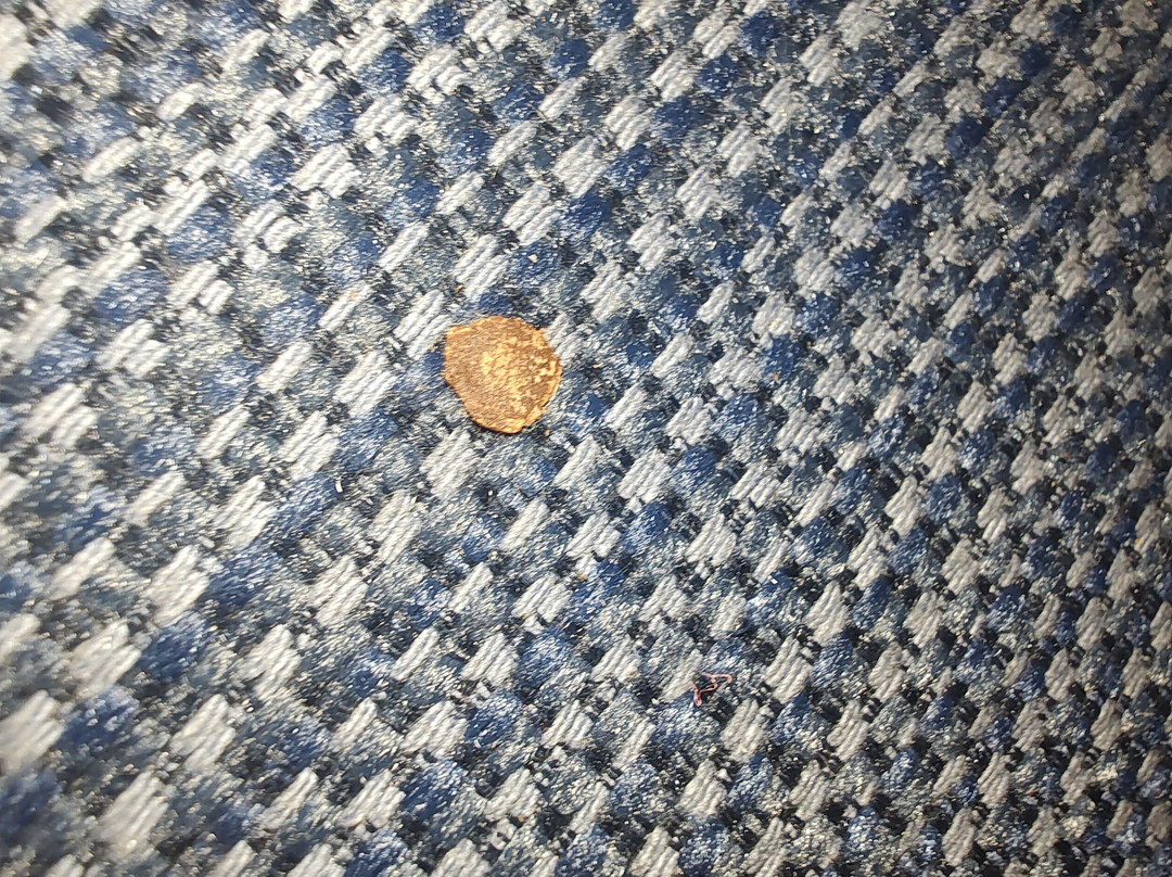 Holiday Inn Express & Suites Lenoir City (knoxville Area) By IHG主图