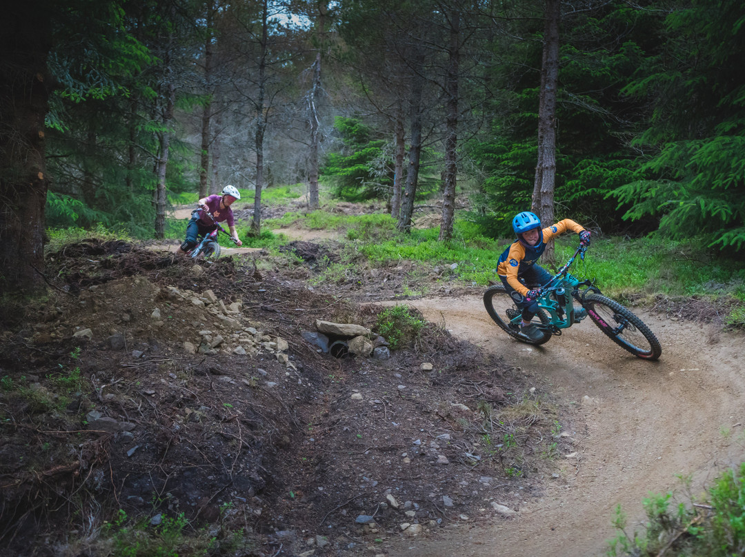 Tarland Trails - Pittenderich-Tarland必去景点