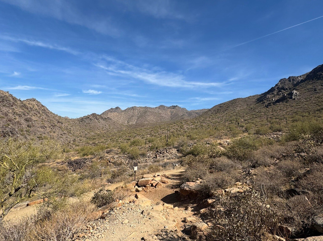 McDowell Sonoran Preserve-斯科茨代尔必去景点