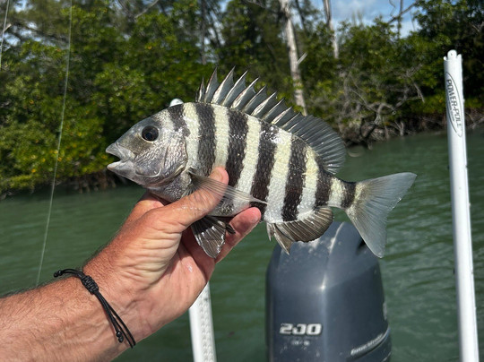 Fishing Solves Everything-那不勒斯必去景点