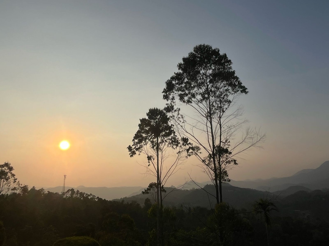 Sprise Munnar Resort & Spa