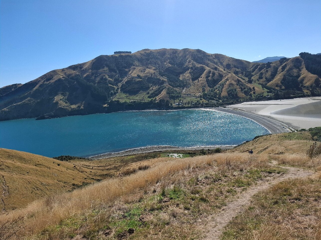 Cable Bay Walkway景点图片
