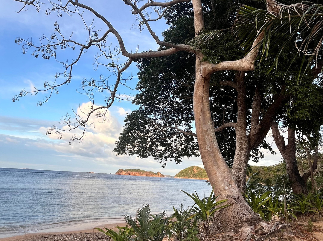 Cashew Grove Beach Resort主图