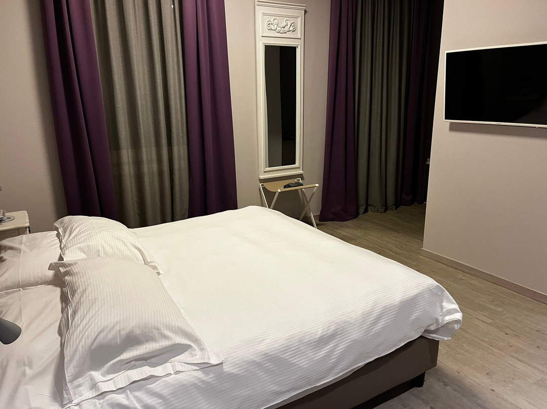 Moderno Hotel Pavia主图