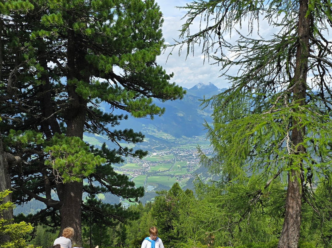 Graukogel Zirbenweg