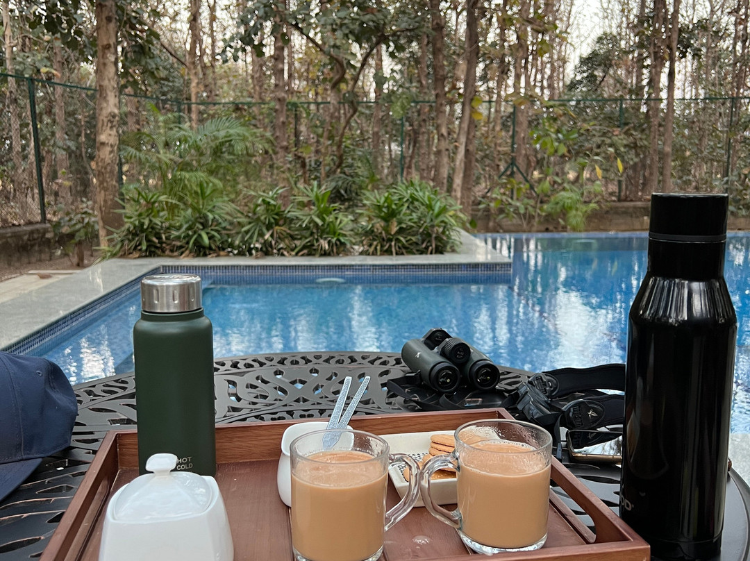 Tigress@ghosri - Tadoba主图