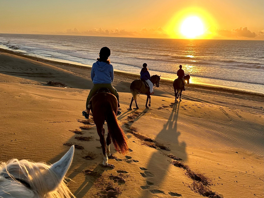 Horse Adventure Essaouira-Diabat必去景点