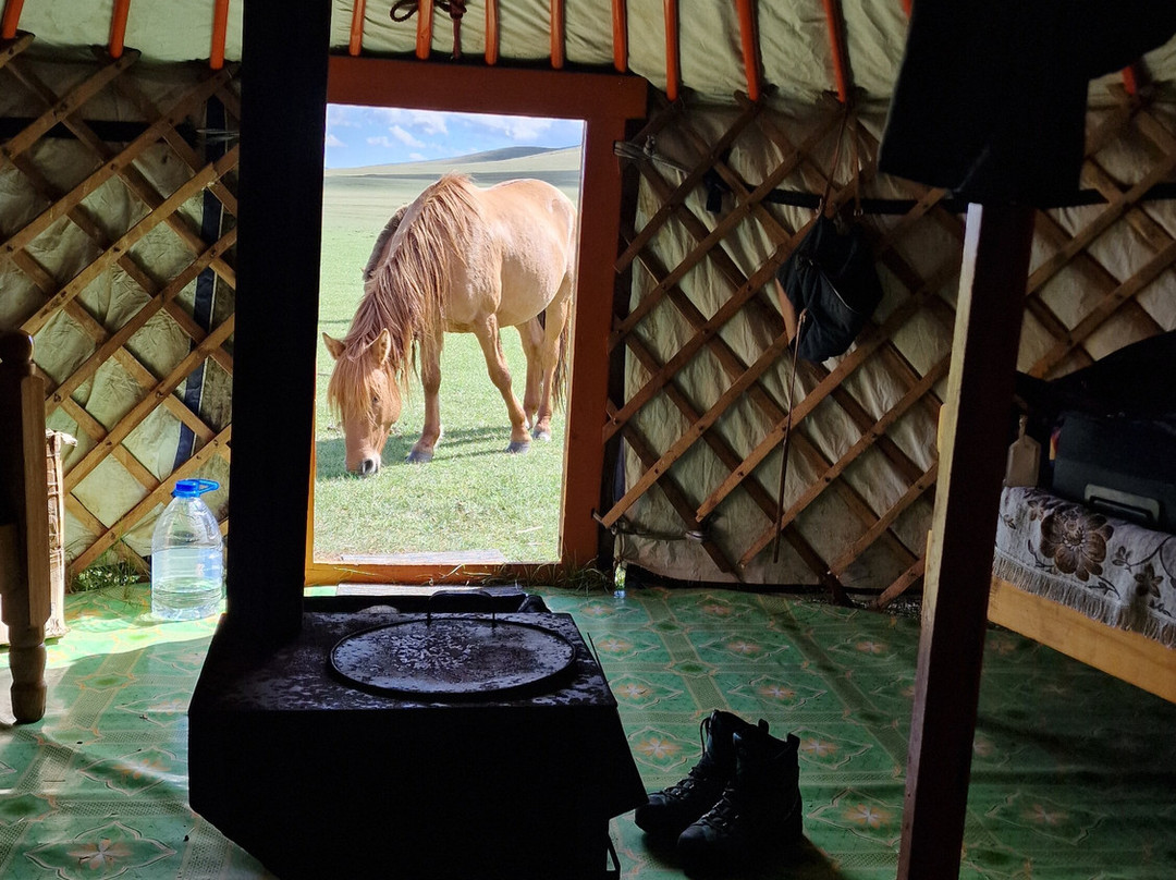 Nur Altai Tour-乌兰巴托必去景点