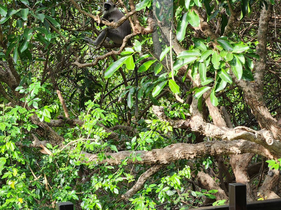 丛林海滩度假村主图