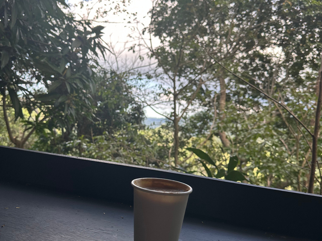 Sofrito Tours-波多黎各必去景点