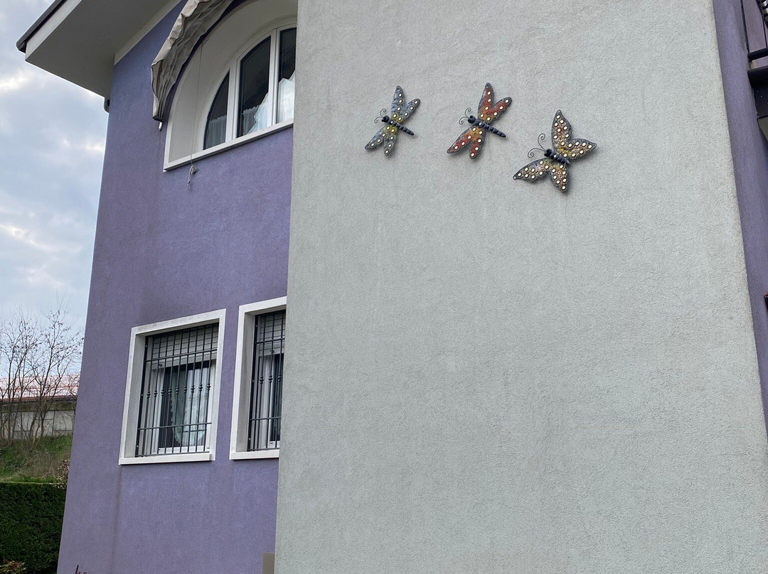 B&B Milu'主图
