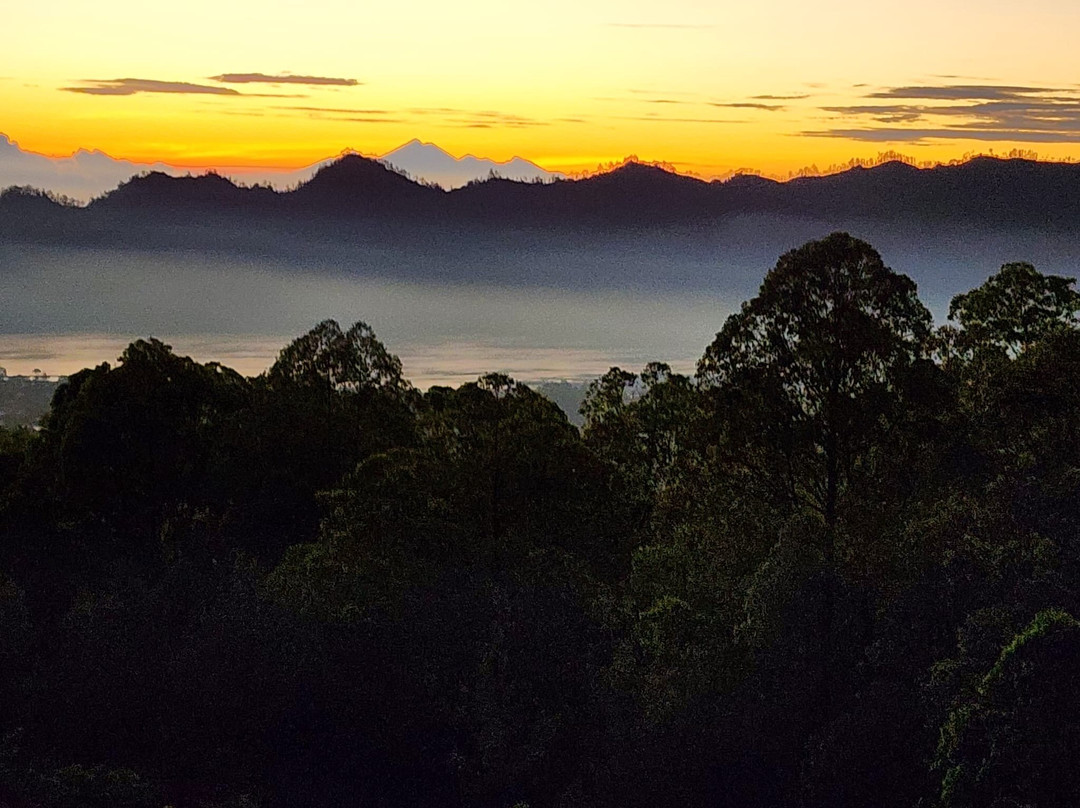 Bali Candidasa Tour景点图片