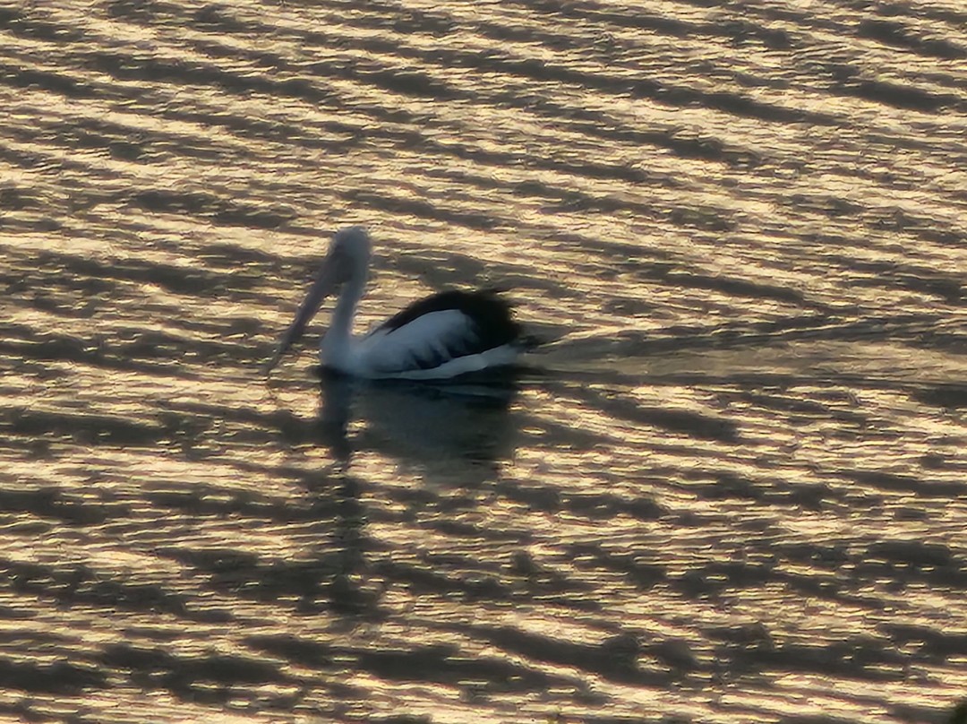 Karbeethong Lodge主图