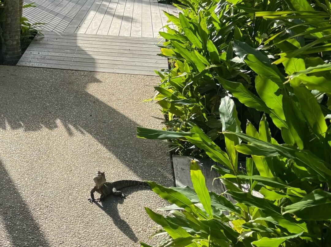 大西洋拜伦湾酒店主图