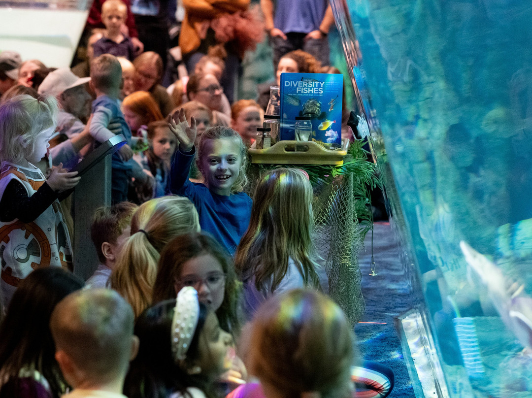 Discovery World-密尔沃基必去景点