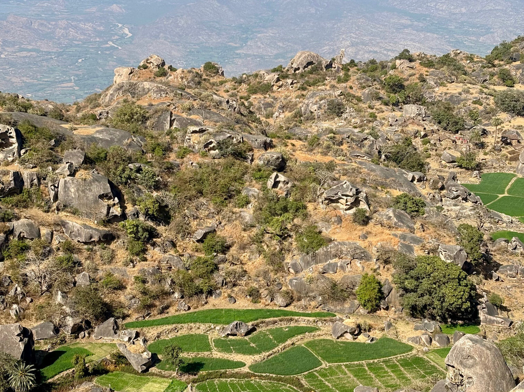 Mount Abu Trekking景点图片