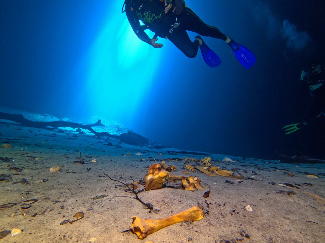 Adventure Tours Yucatan-梅里达必去景点