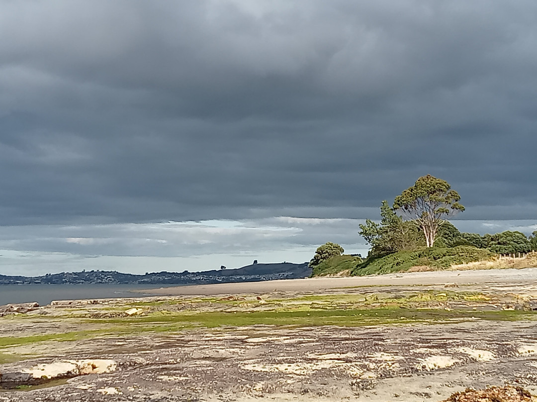 Playa Lechagua景点图片