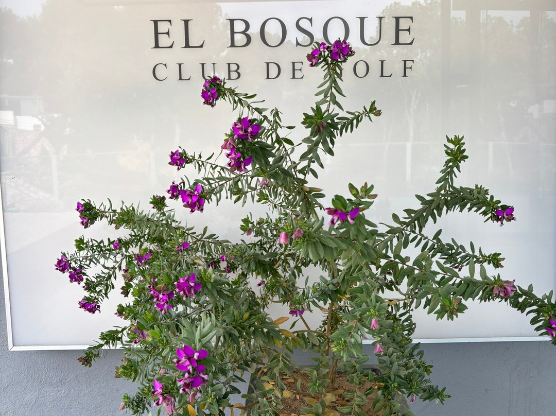 Club De Golf El Bosque景点图片