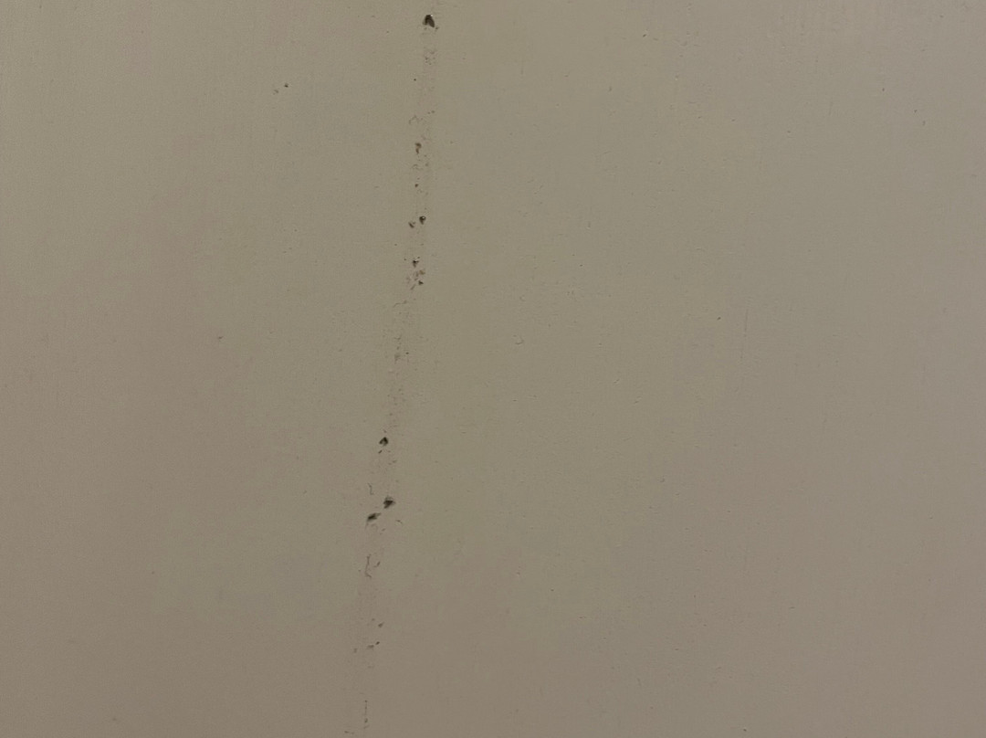 美居梅特兰酒店主图