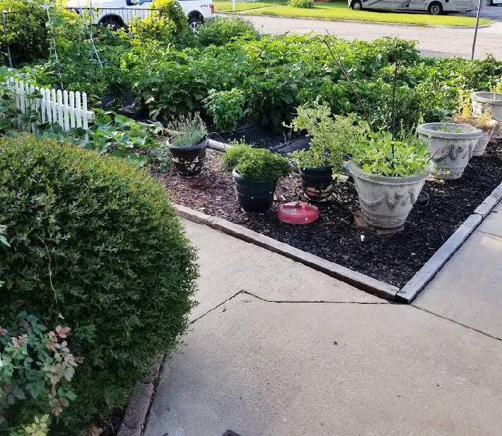 Hedary's Mediterranean Restaurant