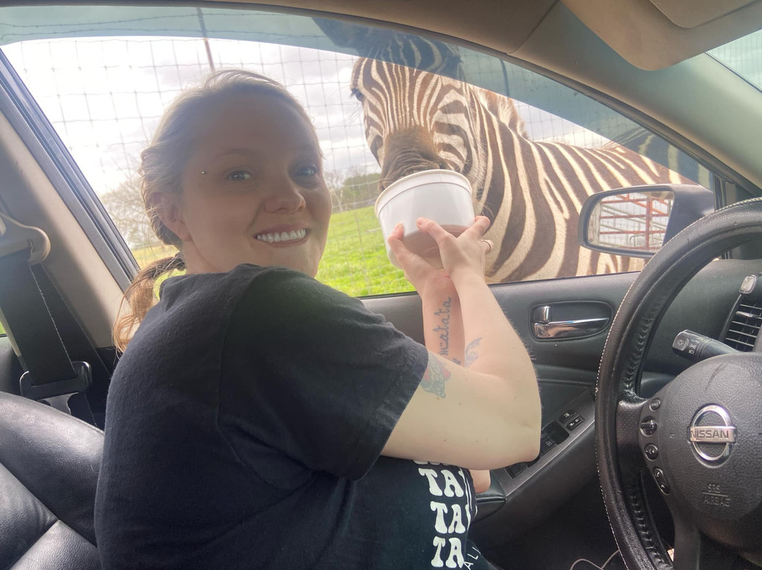 Tupelo Buffalo Park & Zoo-图珀洛必去景点