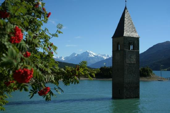 格雷夫酒店主图