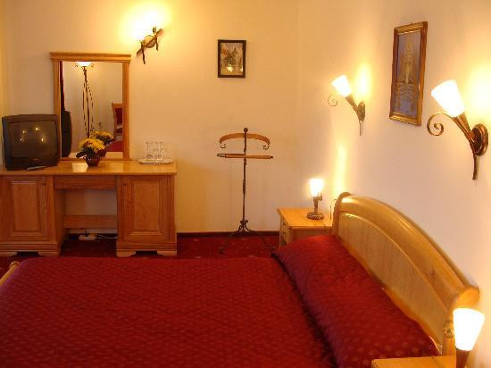 Pensiunea Manoir Mignon主图