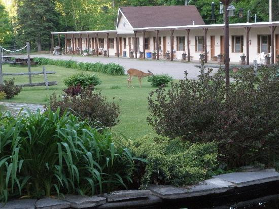 Riverside Motel Dwight主图