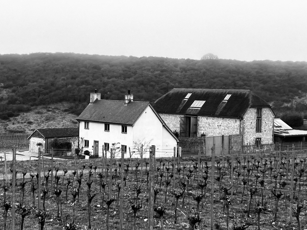 Rathfinny Wine Estate景点图片