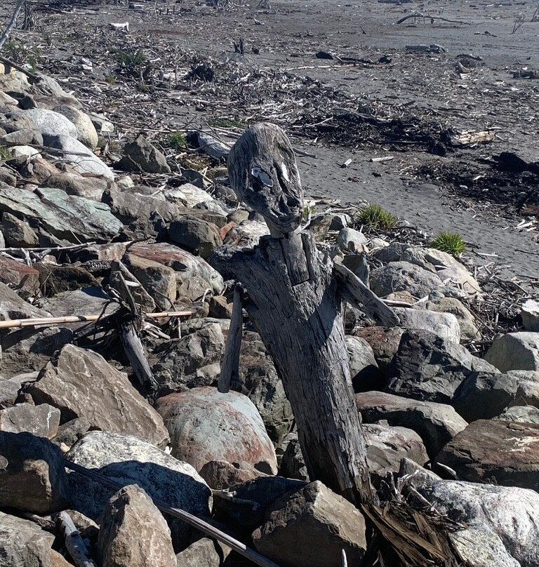 霍基蒂卡海滩景点图片