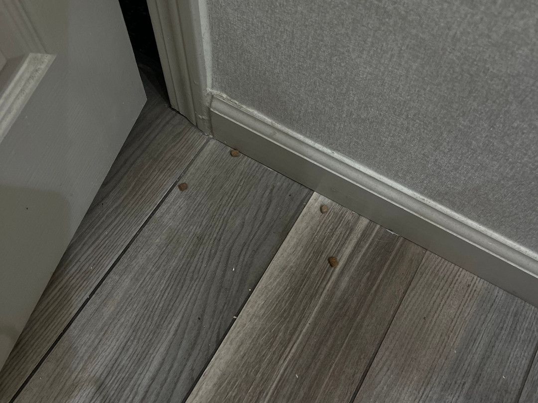 Homewood Suites by Hilton Windsor Locks Hartford主图