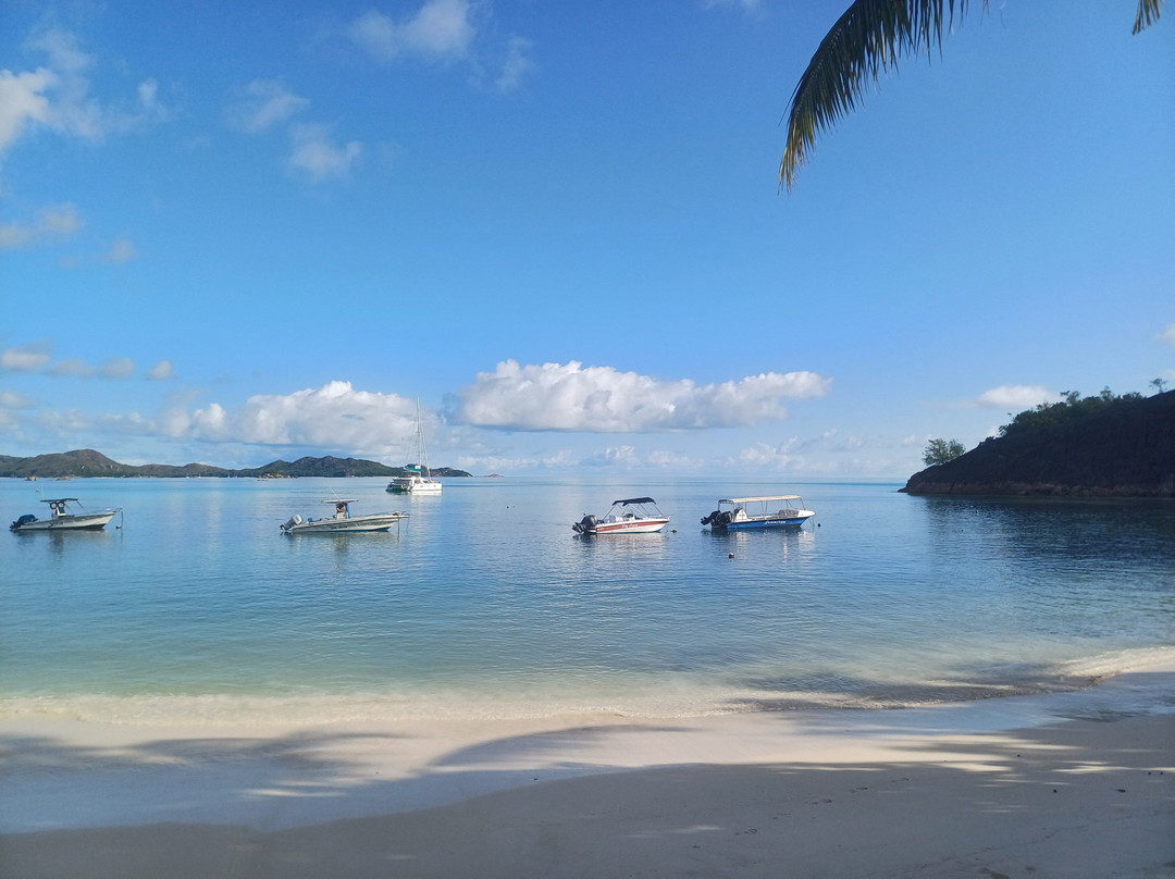 Praslin Pro Divers景点图片