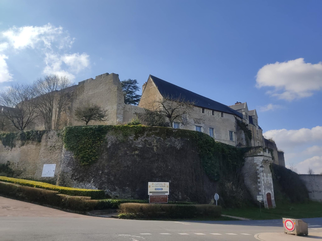 Château de Montrésor景点图片