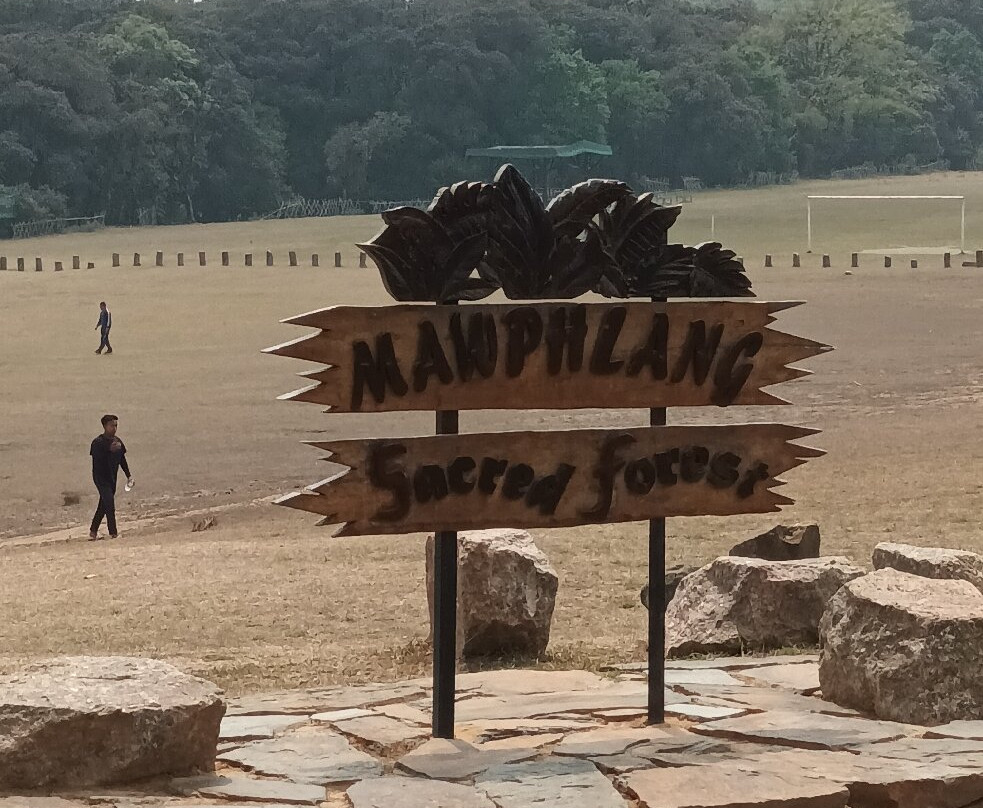 Mawphlang Sacred Forest-西隆必去景点
