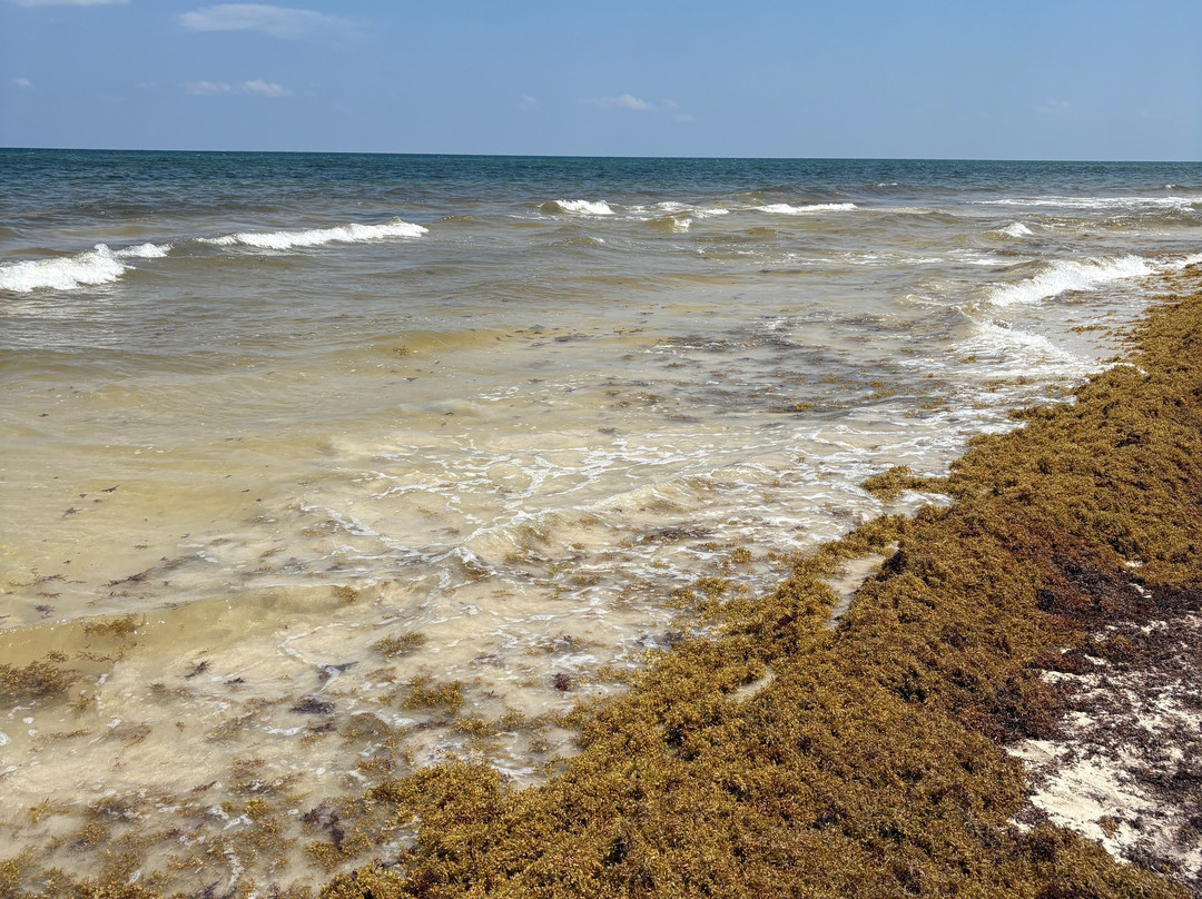 Hayhu Beach Experience景点图片
