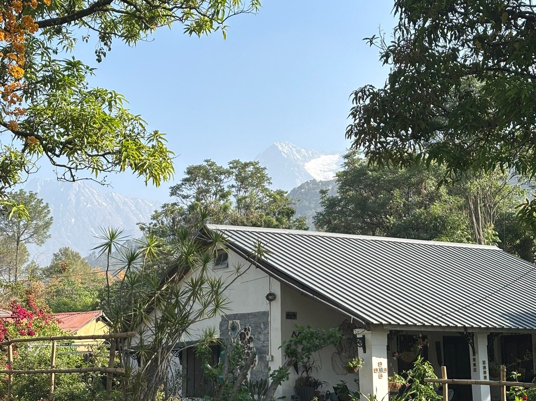 Darang Tea Estate主图