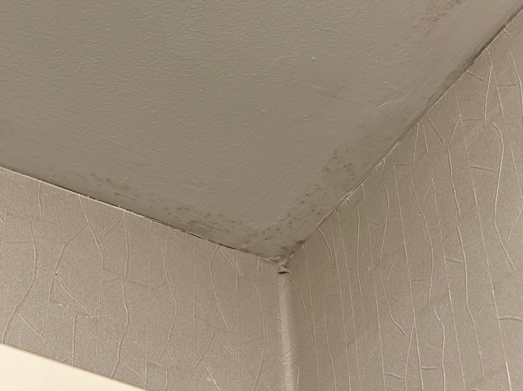 SpringHill Suites by Marriott Cleveland Solon主图