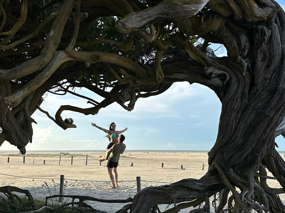 Adelino Passeios Jeri-杰里科科拉必去景点