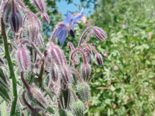 Parco Vittime Del Razzismo