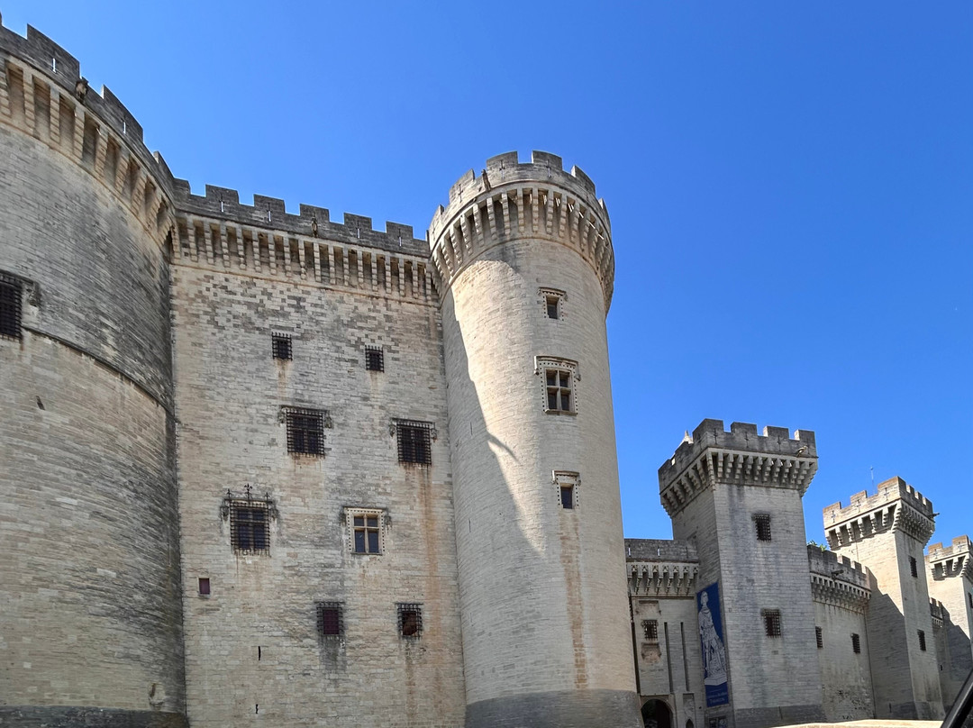 Porte Condamine Tarascon City Gate景点图片