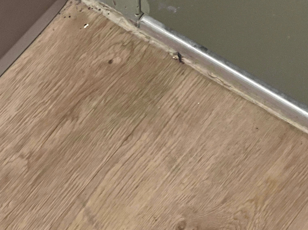 旧金山诺瓦托戴斯酒店主图