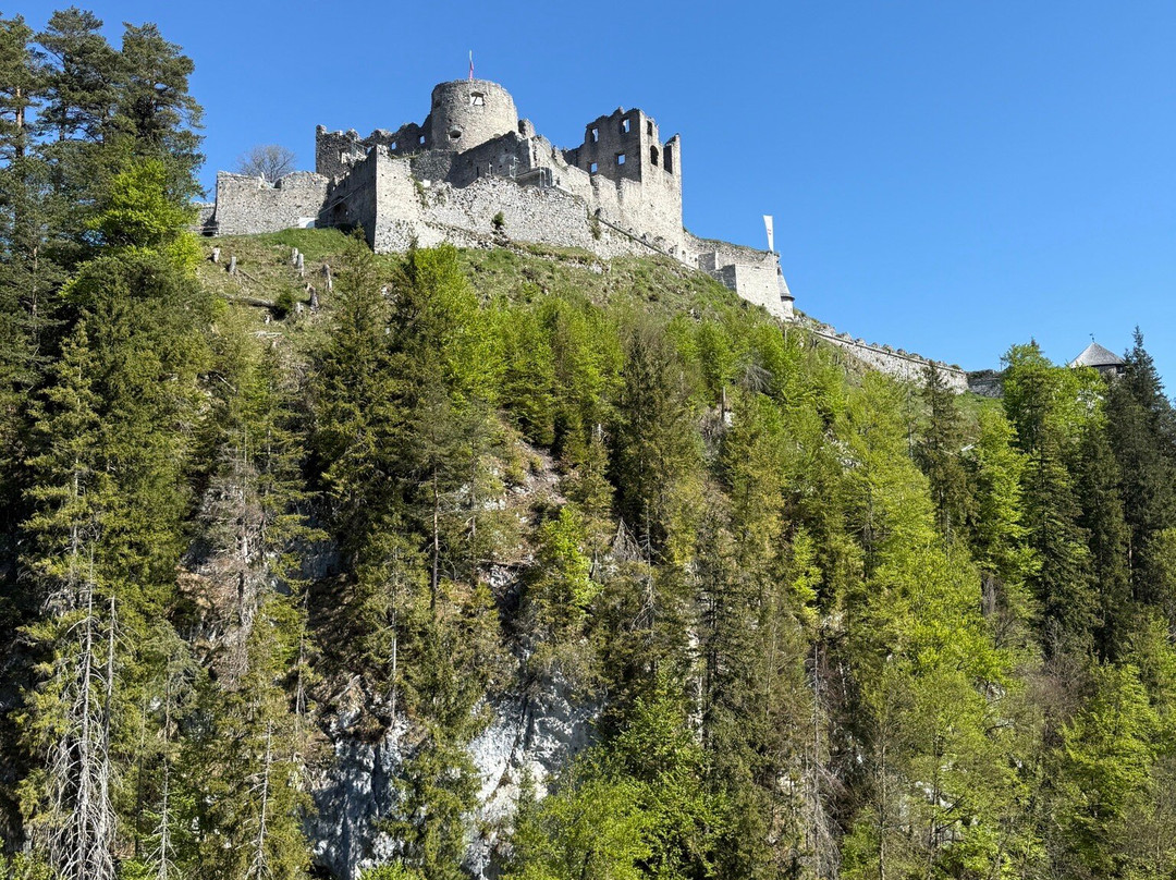 Burgenwelten Ehrenberg景点图片