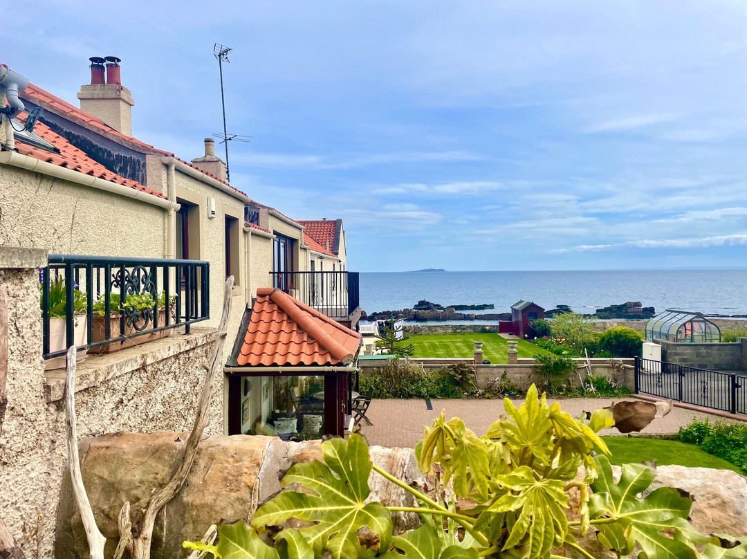 Cellardyke Harbour景点图片