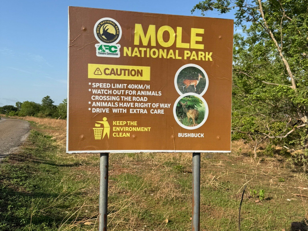 Mole Boy Travel & Safe Guide Tours-Tamale必去景点