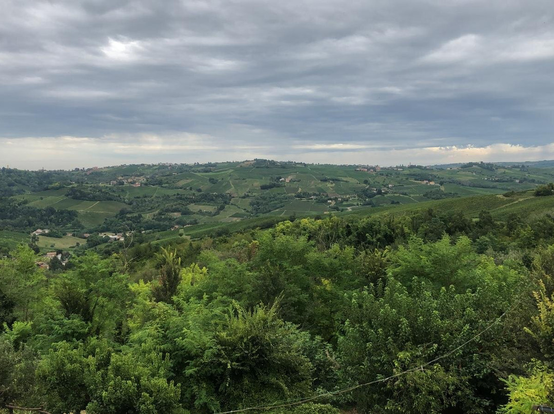 Milan Oltrepo Pavese Vineyards Grape Stomping and Wine Tasting-Robecco Pavese必去景点