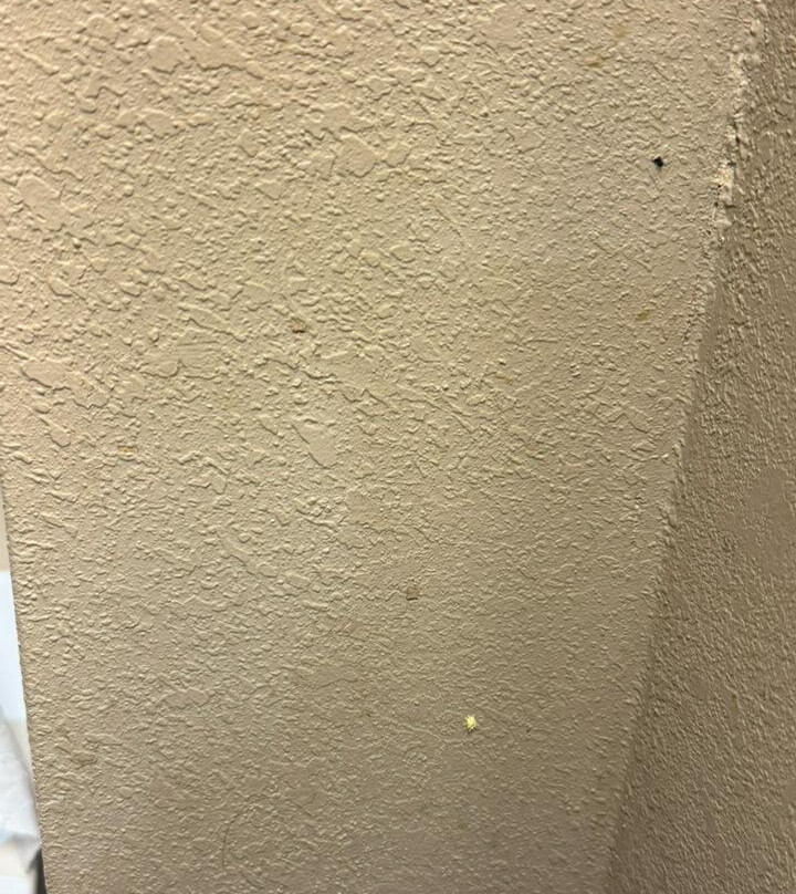 Comfort Inn SW Omaha I-80主图